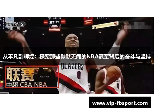 从平凡到辉煌：探索那些默默无闻的NBA冠军背后的奋斗与坚持