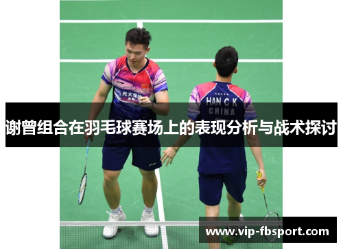 谢曾组合在羽毛球赛场上的表现分析与战术探讨