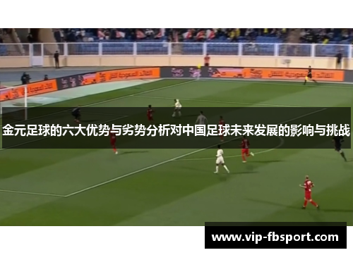 金元足球的六大优势与劣势分析对中国足球未来发展的影响与挑战